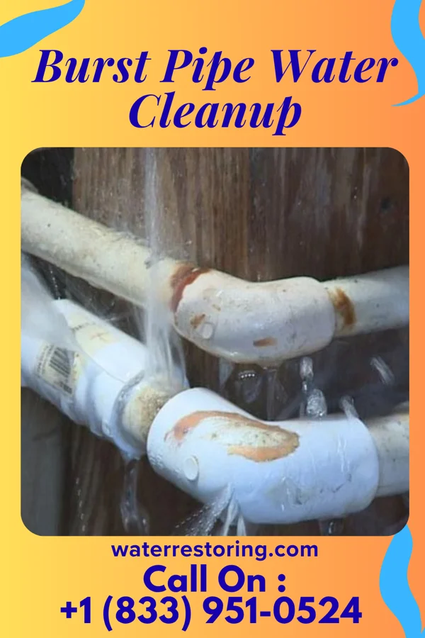 Burst Pipe Water Cleanup in Epping, ND